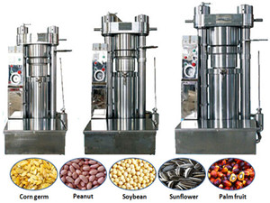 plan to buy sesame oil press machine for setting up your